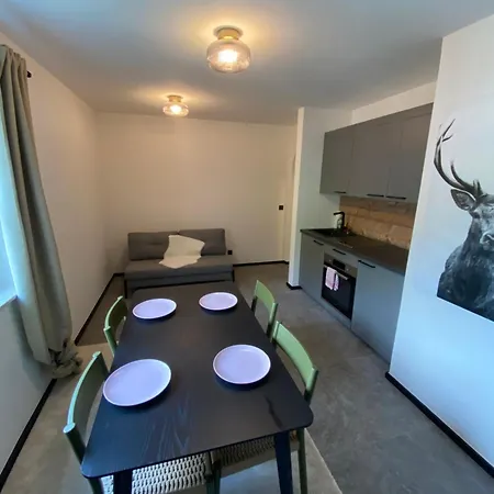 Hirscherl - Mountain Design Apartament *