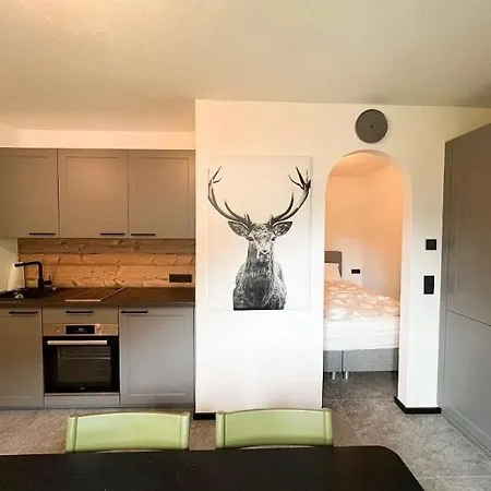 Hirscherl - Mountain Design Apartman Bad Kleinkirchheim