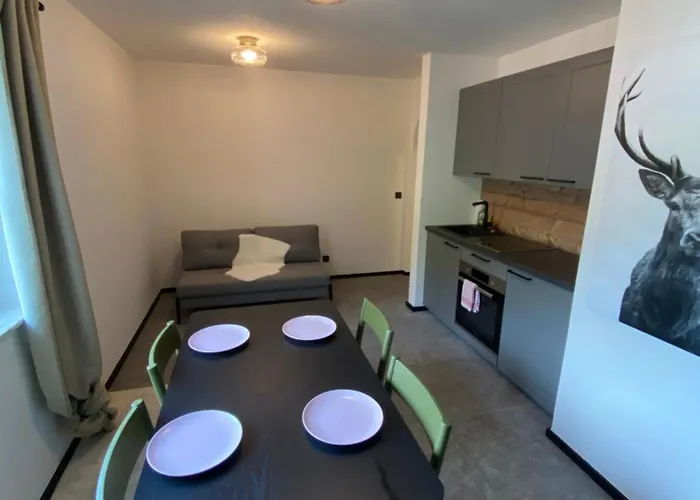 Hirscherl - Mountain Design Apartament *