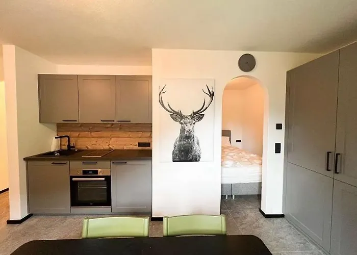 Hirscherl - Mountain Design Apartament Bad Kleinkirchheim